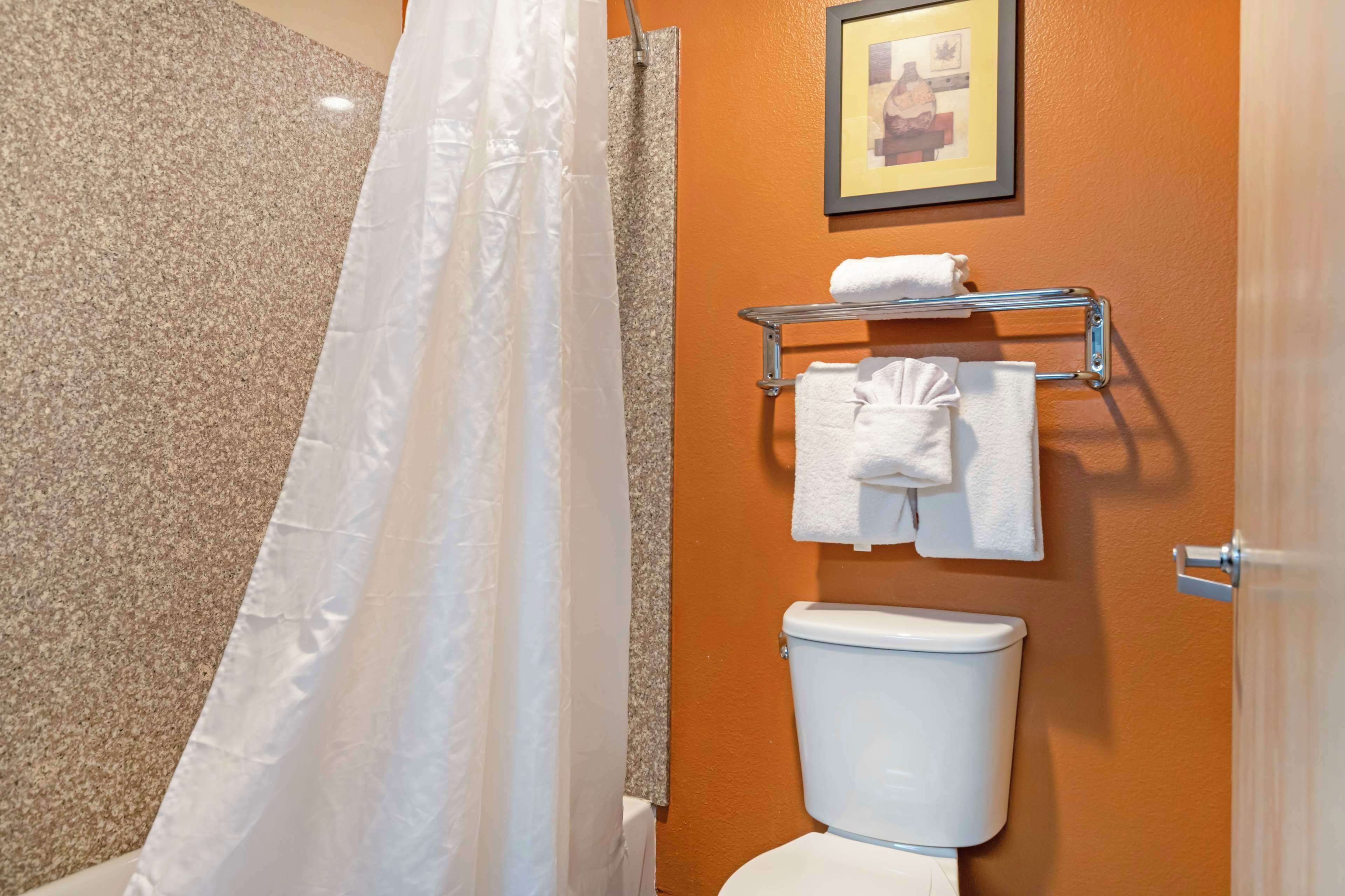 A bathroom with a shower curtain, a toilet, and a towel rack with towels.