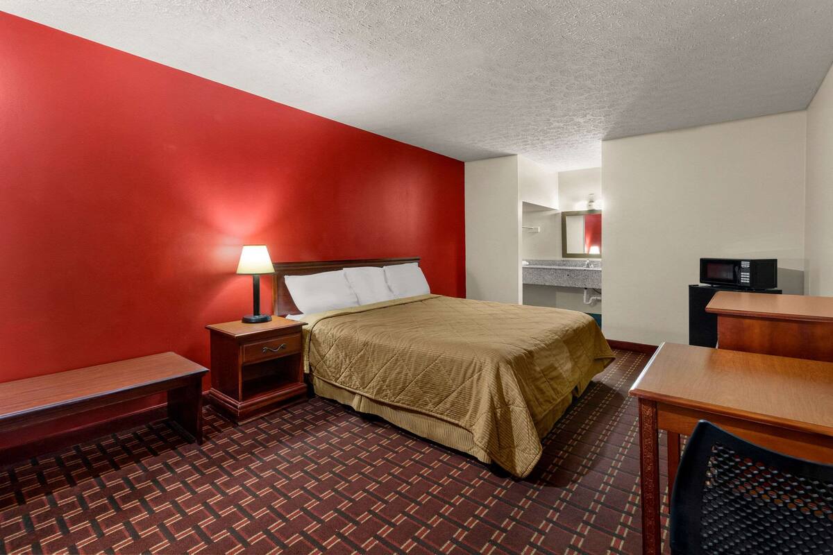 A hotel room with a bed, a desk, a chair, a nightstand, a lamp, and a television.