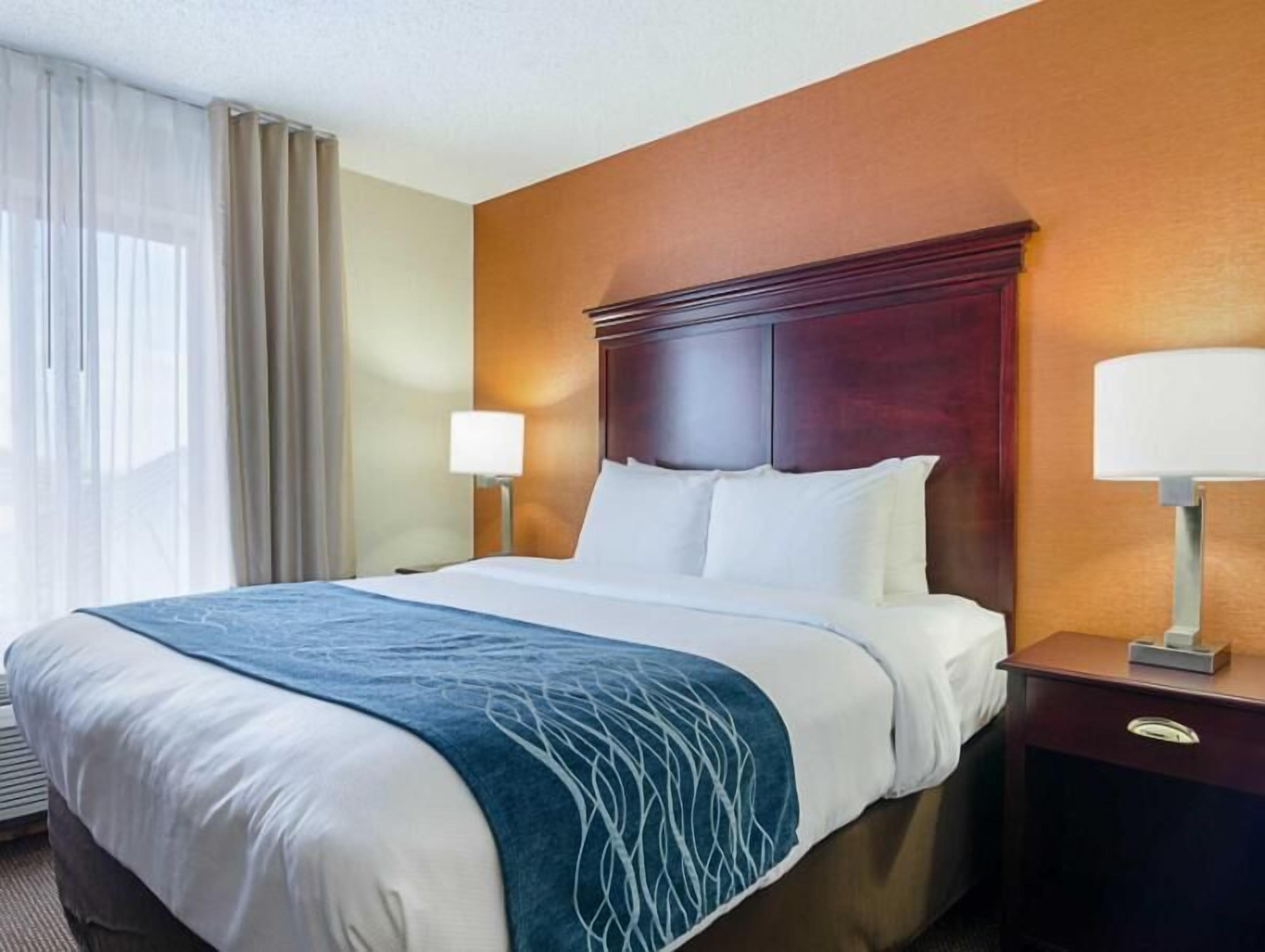 Premium bedding, desk, laptop workspace, blackout curtains