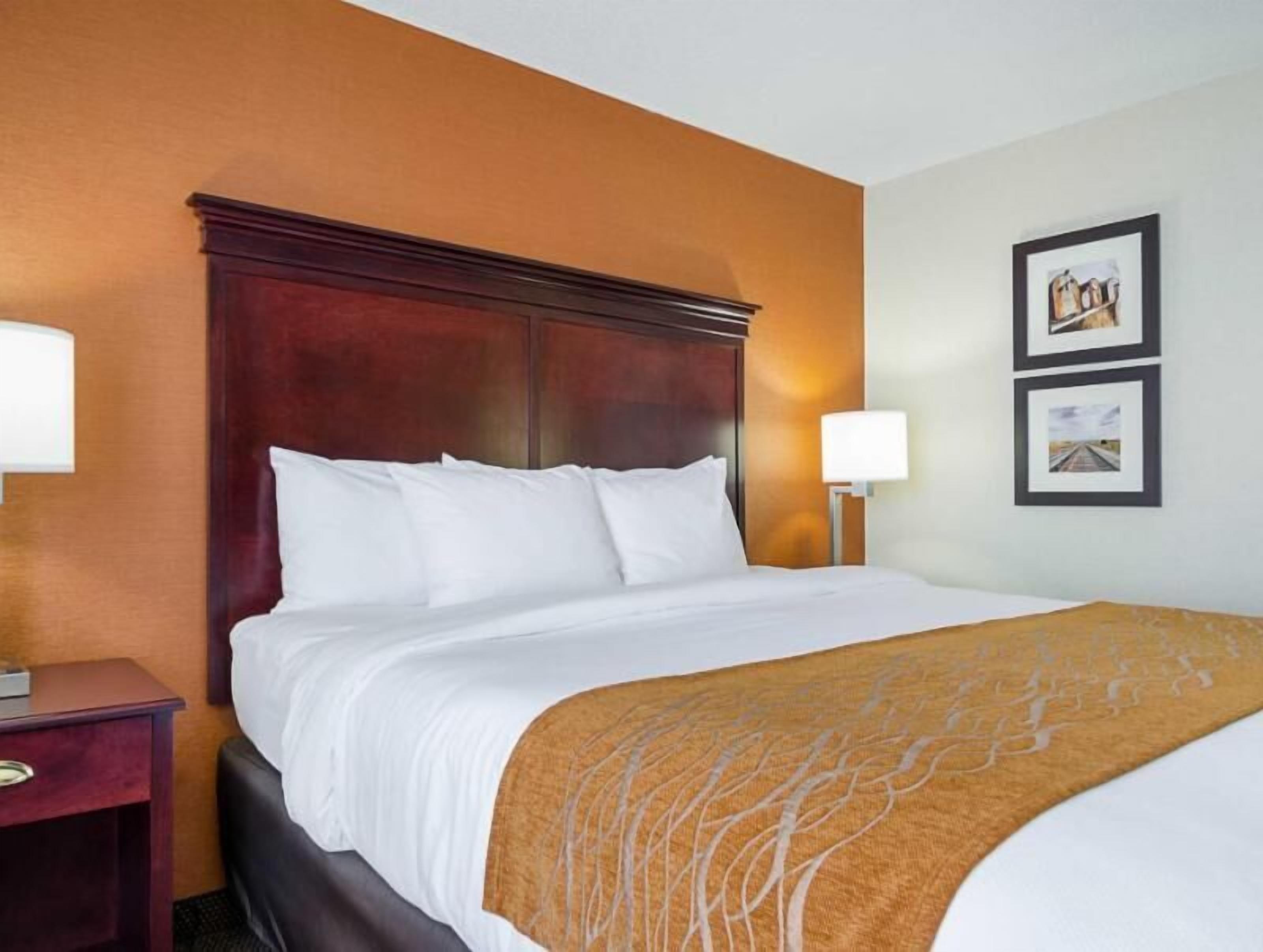 Premium bedding, desk, laptop workspace, blackout curtains