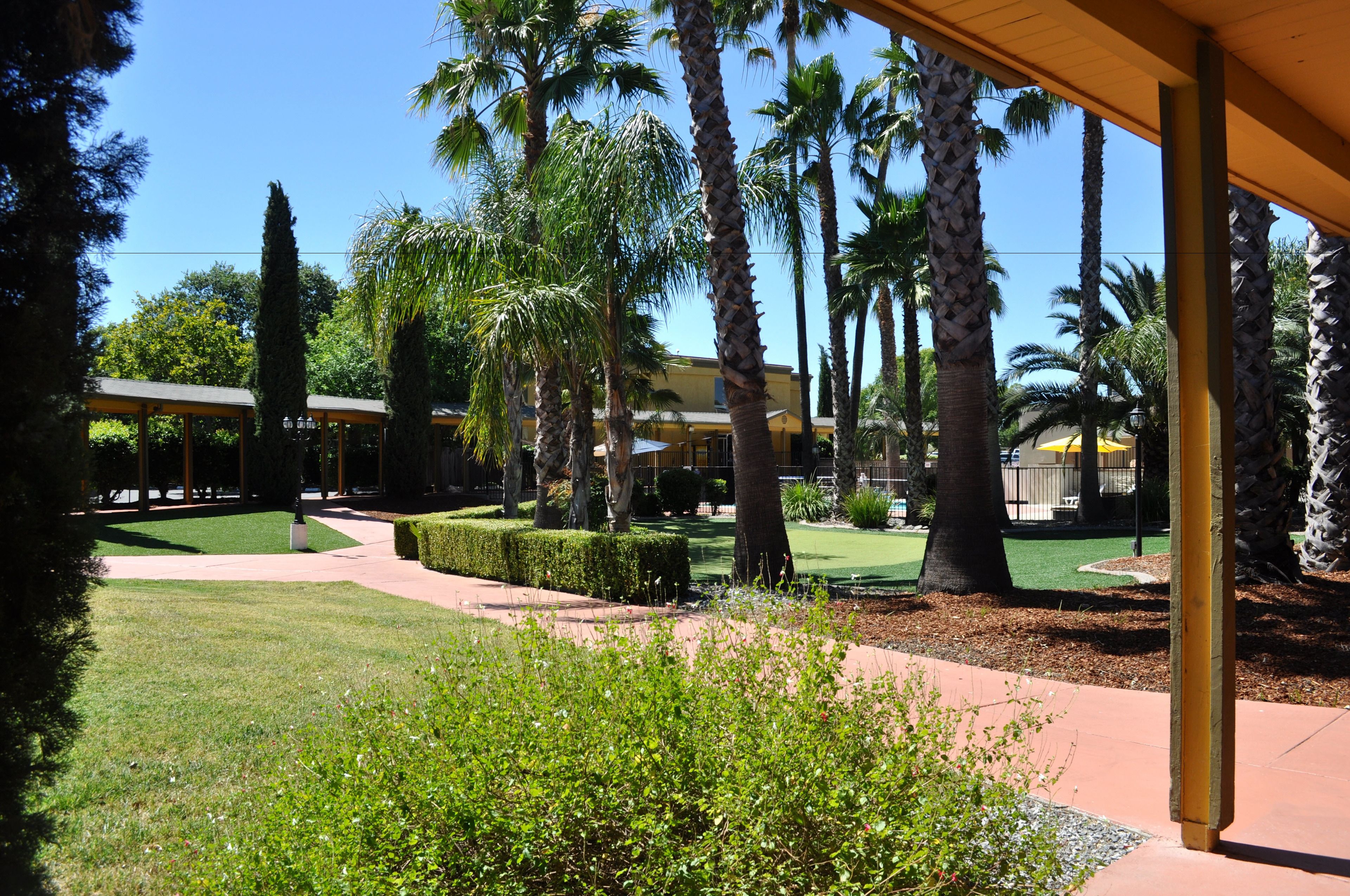 A courtyard with palm trees, a covered walkway, and a well-maintained lawn.