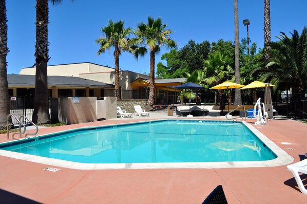 A swimming pool with lounge chairs and umbrellas, surrounded by palm trees and a building in the background.