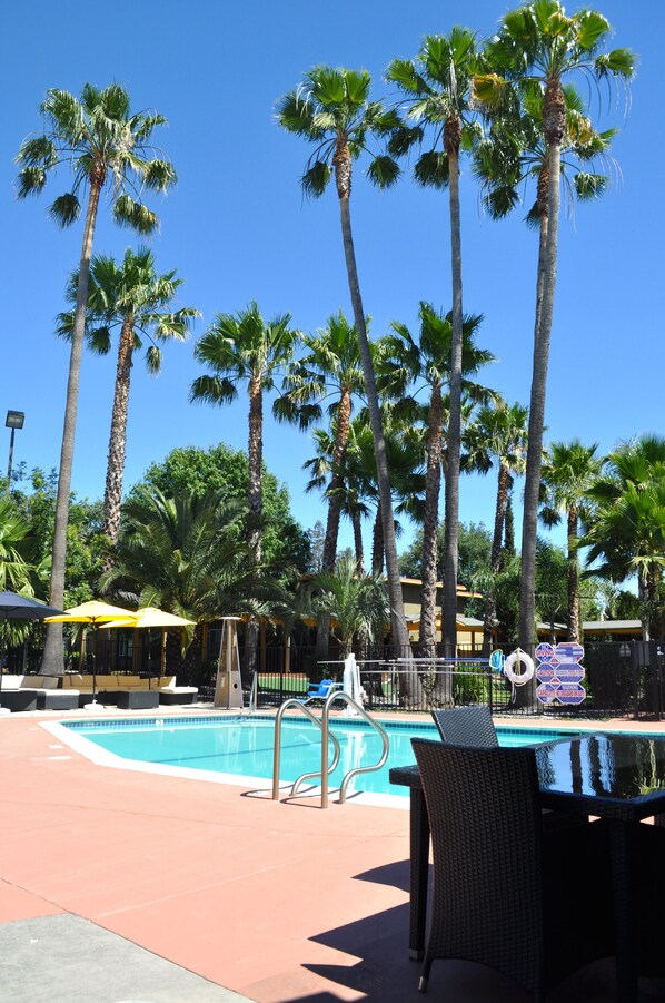 Seasonal outdoor pool, open 10:00 AM to 8:00 PM, pool loungers