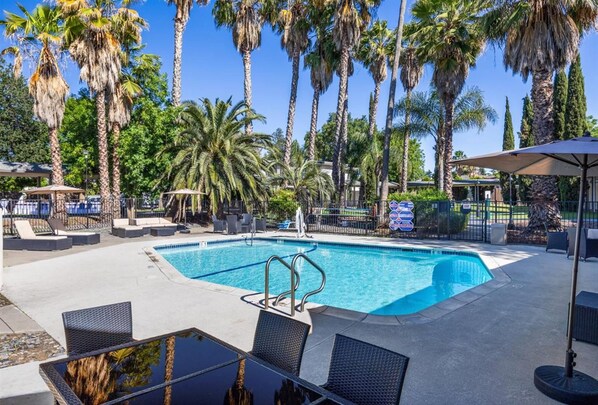 Seasonal outdoor pool, open 10:00 AM to 8:00 PM, sun loungers