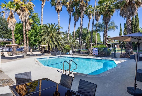 Seasonal outdoor pool, open 10:00 AM to 8:00 PM, sun loungers