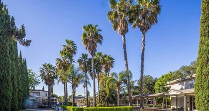 Prodigy Hotel, a Days Inn by Wyndham