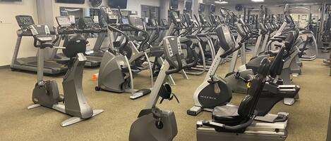 A gym with multiple cardio machines, including treadmills and elliptical trainers, arranged in rows.