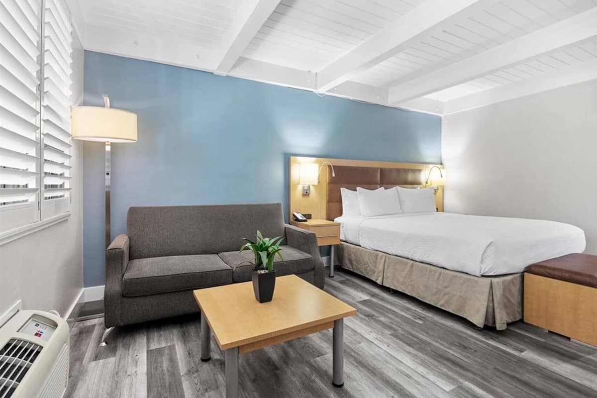 A hotel room with a bed, a sofa, a table, a lamp, and a potted plant.