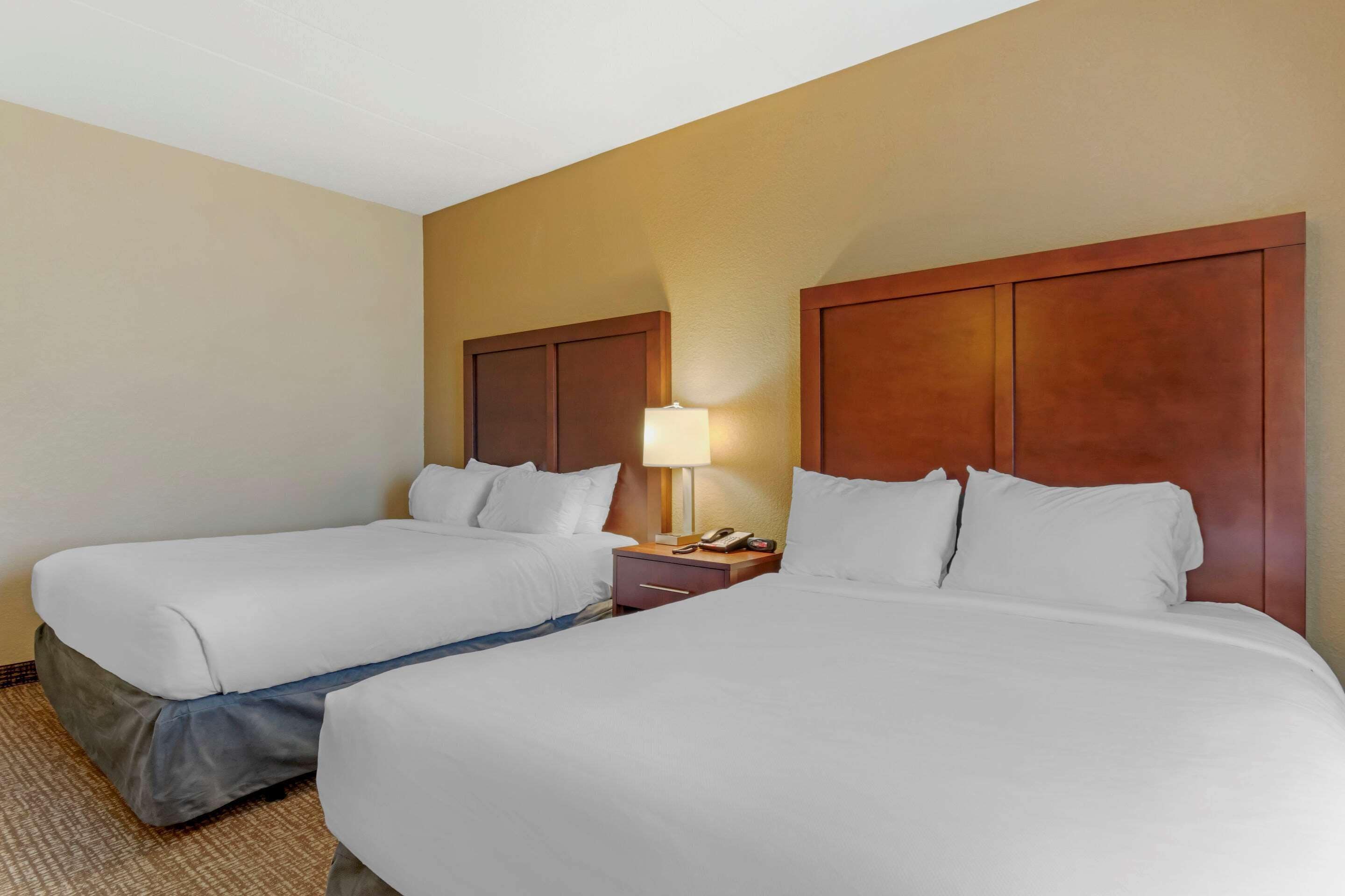 Una habitación de hotel con dos camas, una mesita de noche con lámpara y un teléfono.