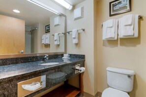 Bañera con ducha, secador de pelo, pantuflas, toallas