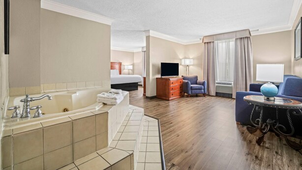 Habitación de hotel con una bañera grande, una cama, un escritorio, una silla y un televisor.