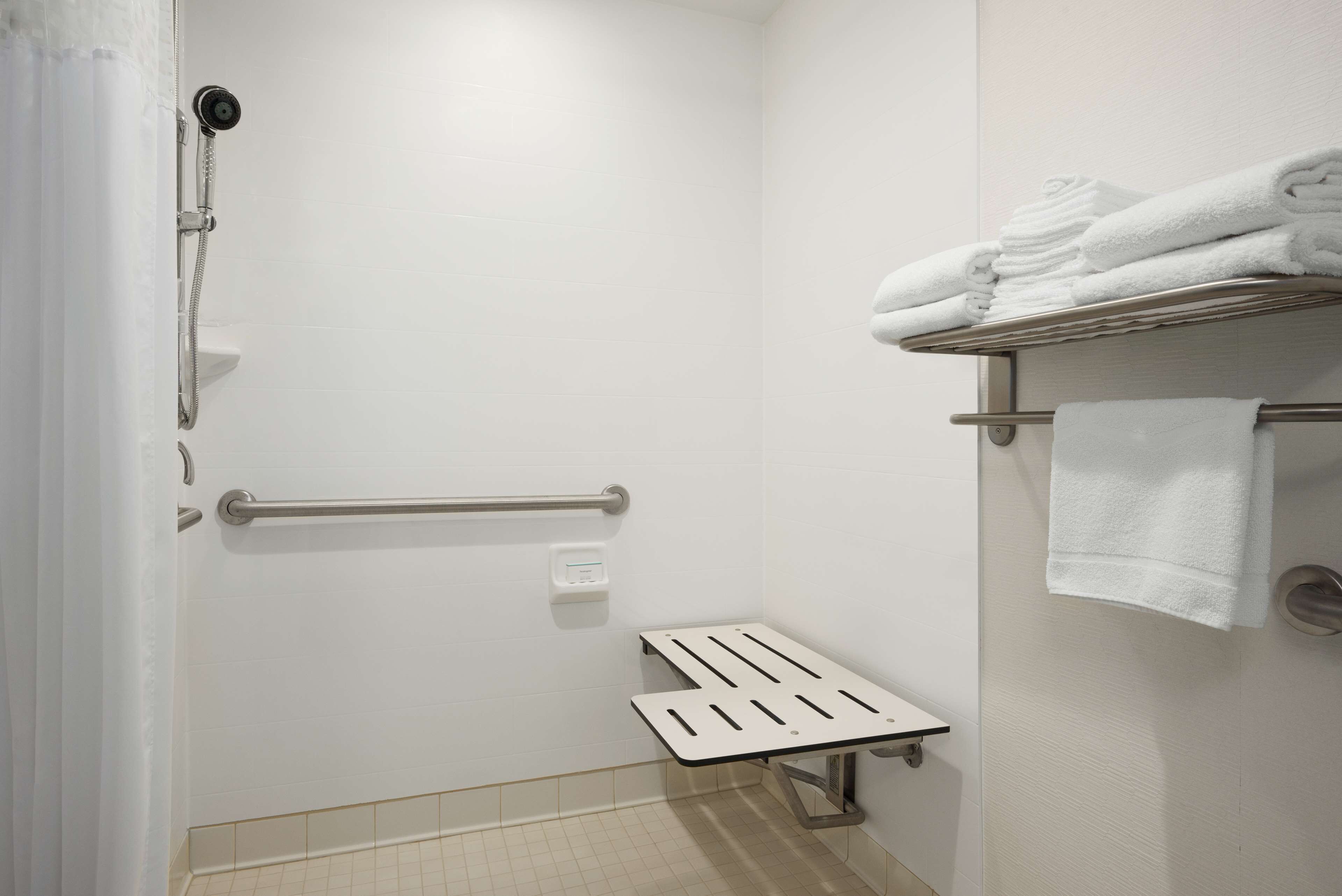 room, 1 king bed, accessible, non smoking | bathroom shower