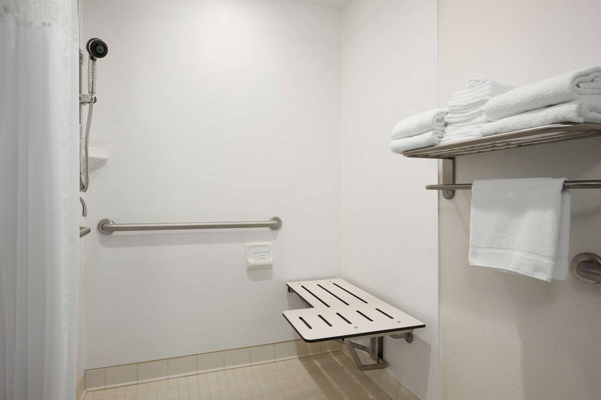 room, 1 king bed, accessible, non smoking | bathroom shower