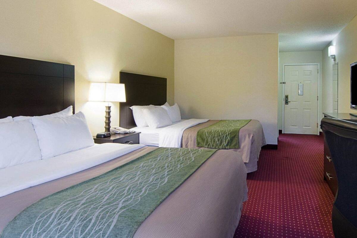 A hotel room with two beds, a nightstand with a lamp, a dresser, and a television.