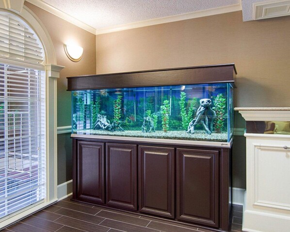Un acuario grande con varios peces y plantas, sobre un mueble de madera oscura frente a una pared color beige.