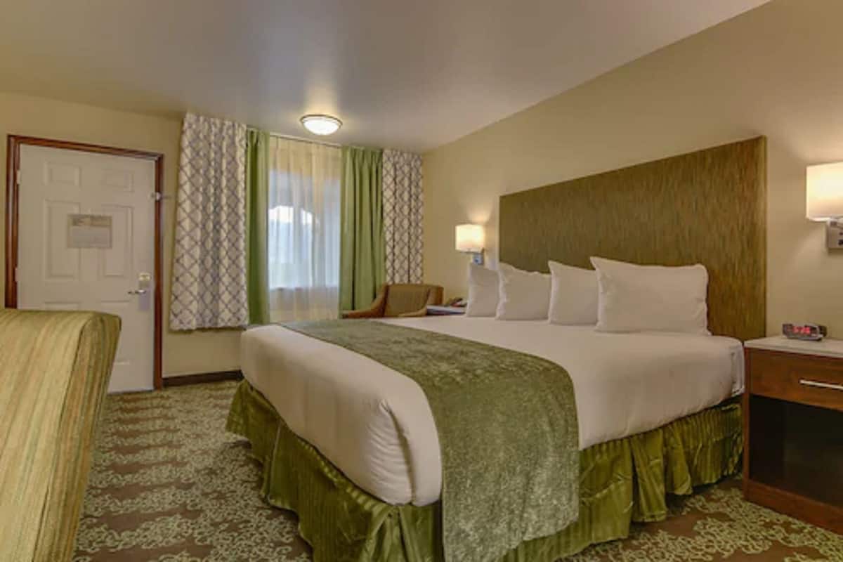 A hotel room with a large bed, a bedside table, a lamp, a chair, and a door.