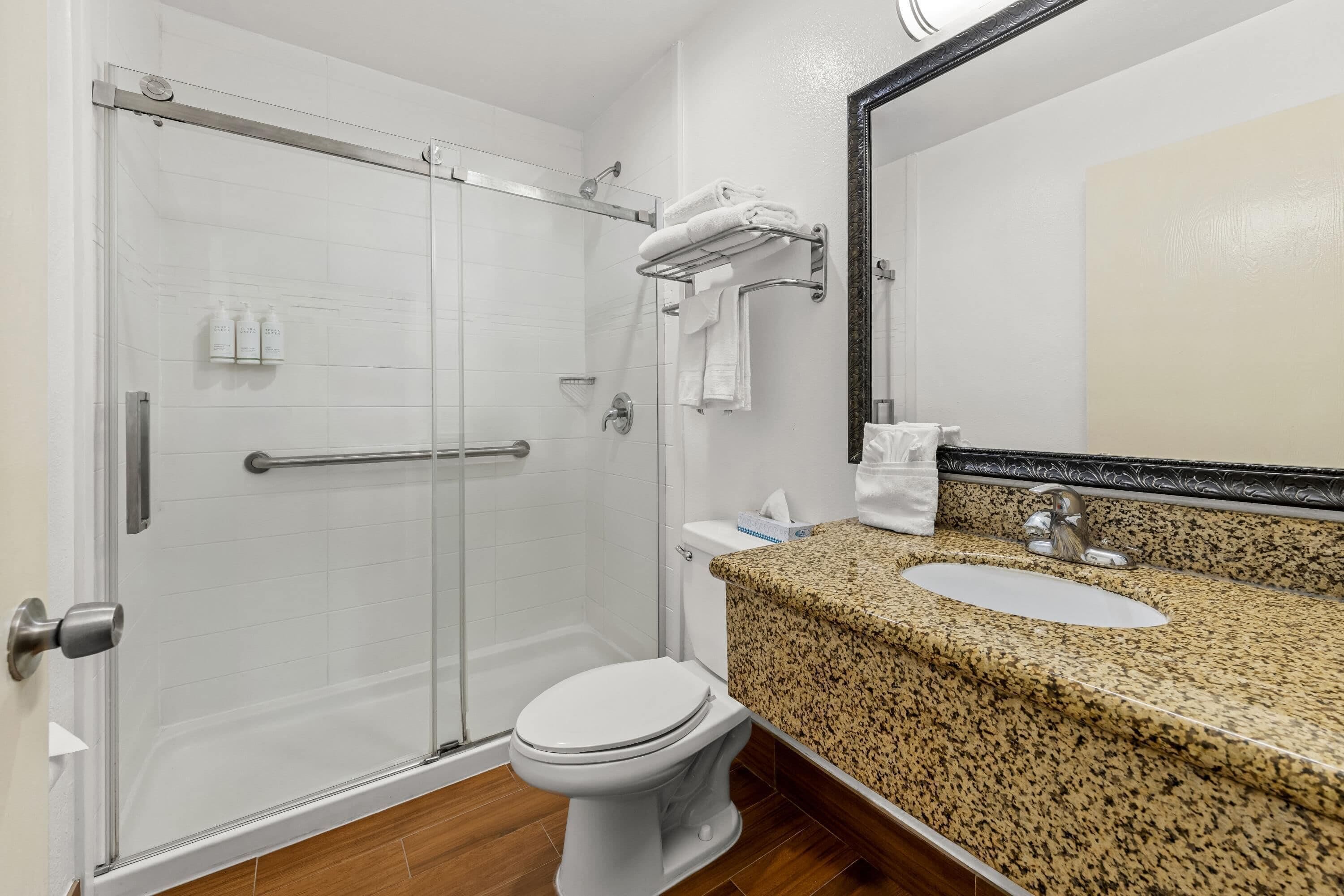 A bathroom with a glass shower door, a toilet, a sink with a granite countertop, and a mirror with a decorative frame.