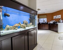 Desayuno buffet incluido