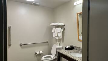 A bathroom with a toilet, sink, and handrails.