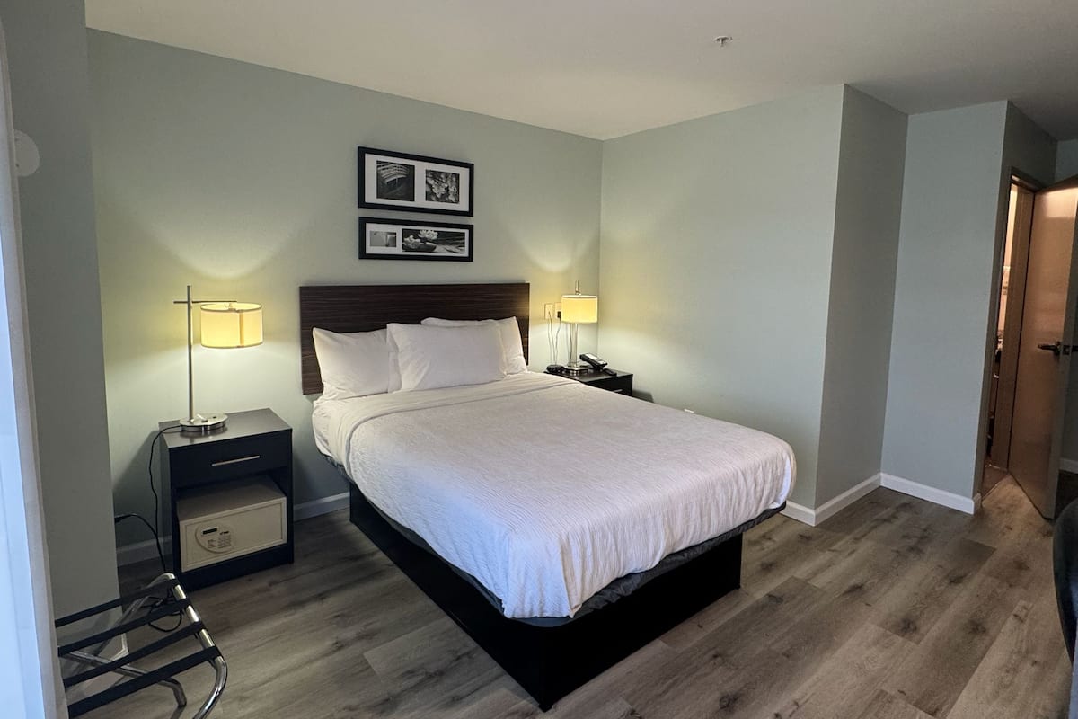 Chambre, 1 grand lit, accessible aux personnes à mobilité réduite (Mobility, Roll-In Shower)
