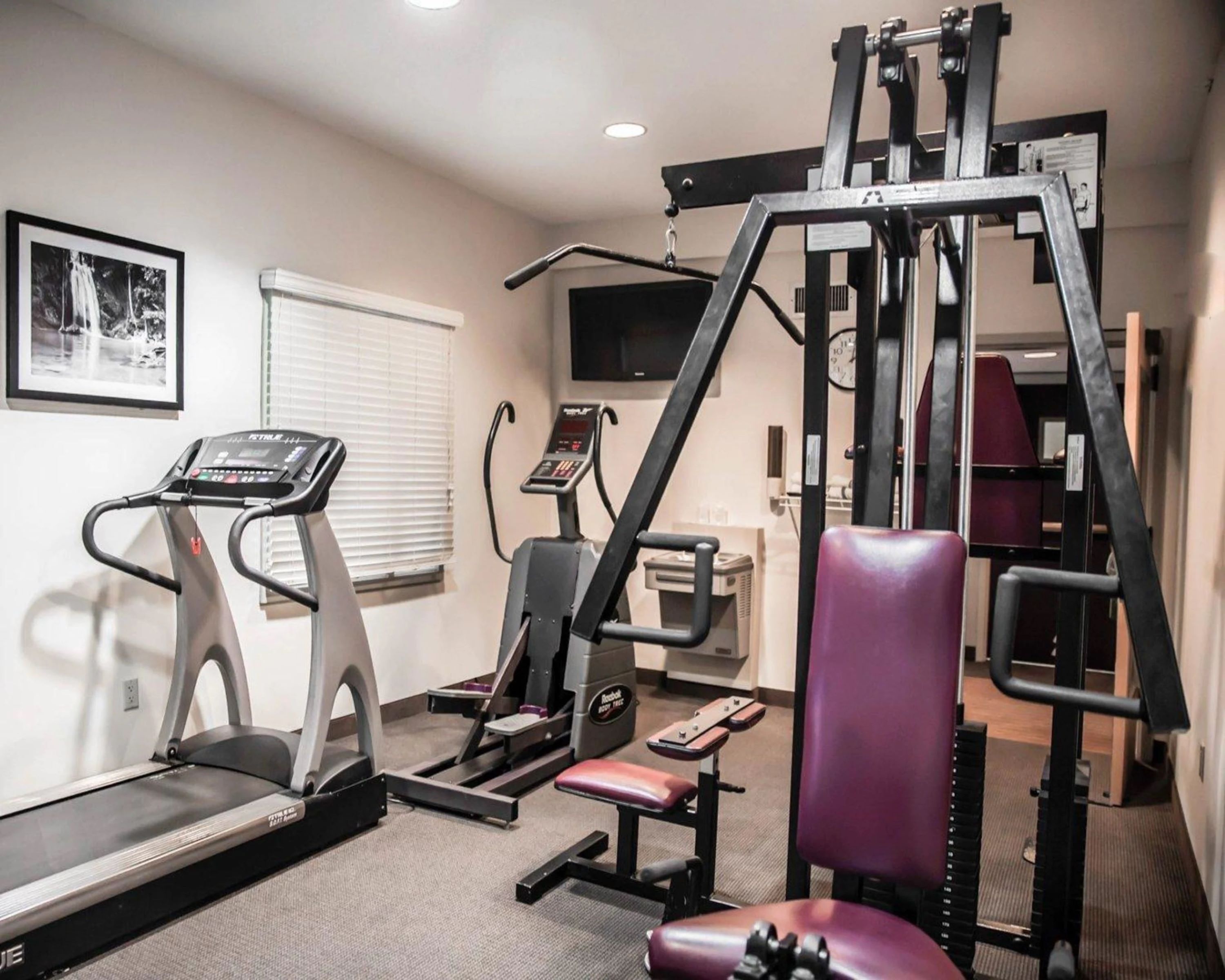 A gym with a treadmill, weight machines, and a bench.