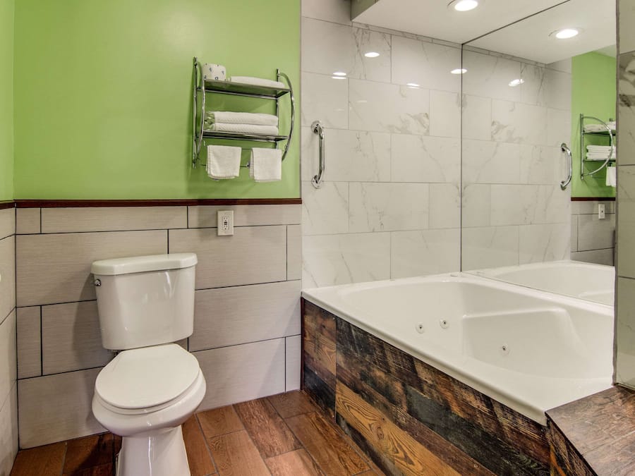 Room, 1 King Bed, Non Smoking, Partial Lake View (2-Person Whirlpool) | Bathroom | Combined shower/tub, free toiletries, hair dryer, towels
