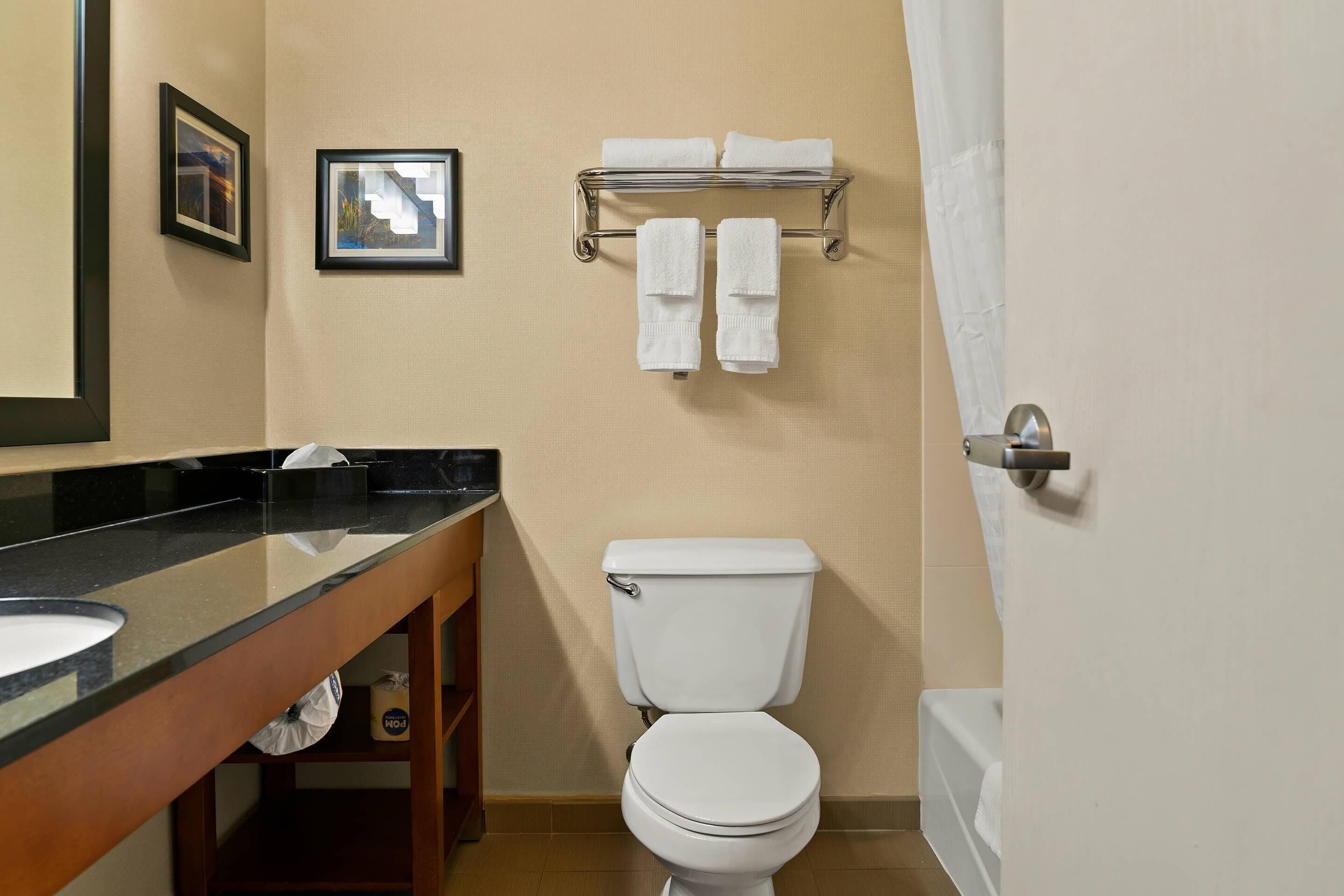 A bathroom with a toilet, a sink, a towel rack, and a framed picture on the wall.