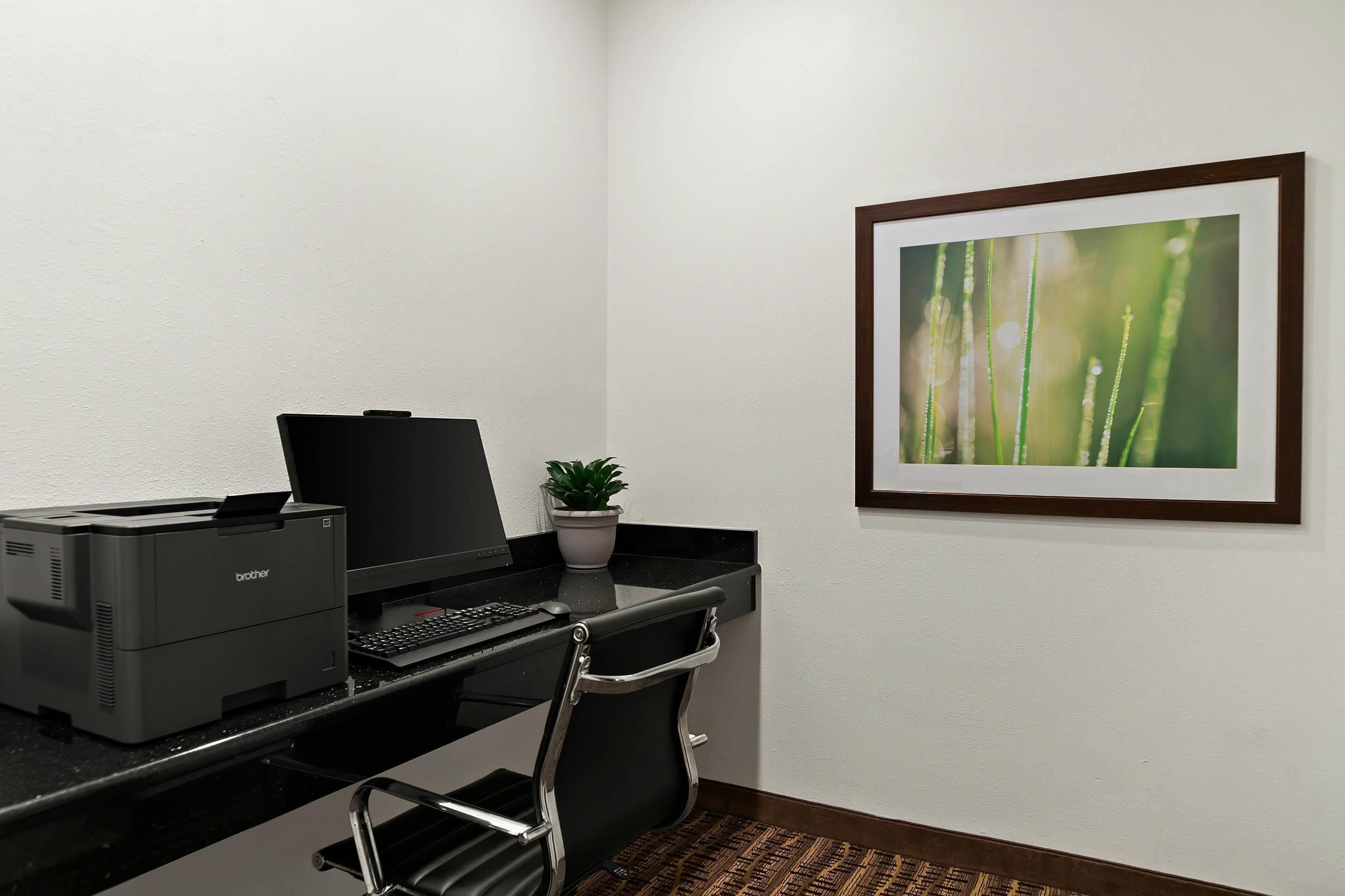 A modern office space with a desktop computer, a Brother printer, a potted plant, and a framed botanical photograph on the wall.