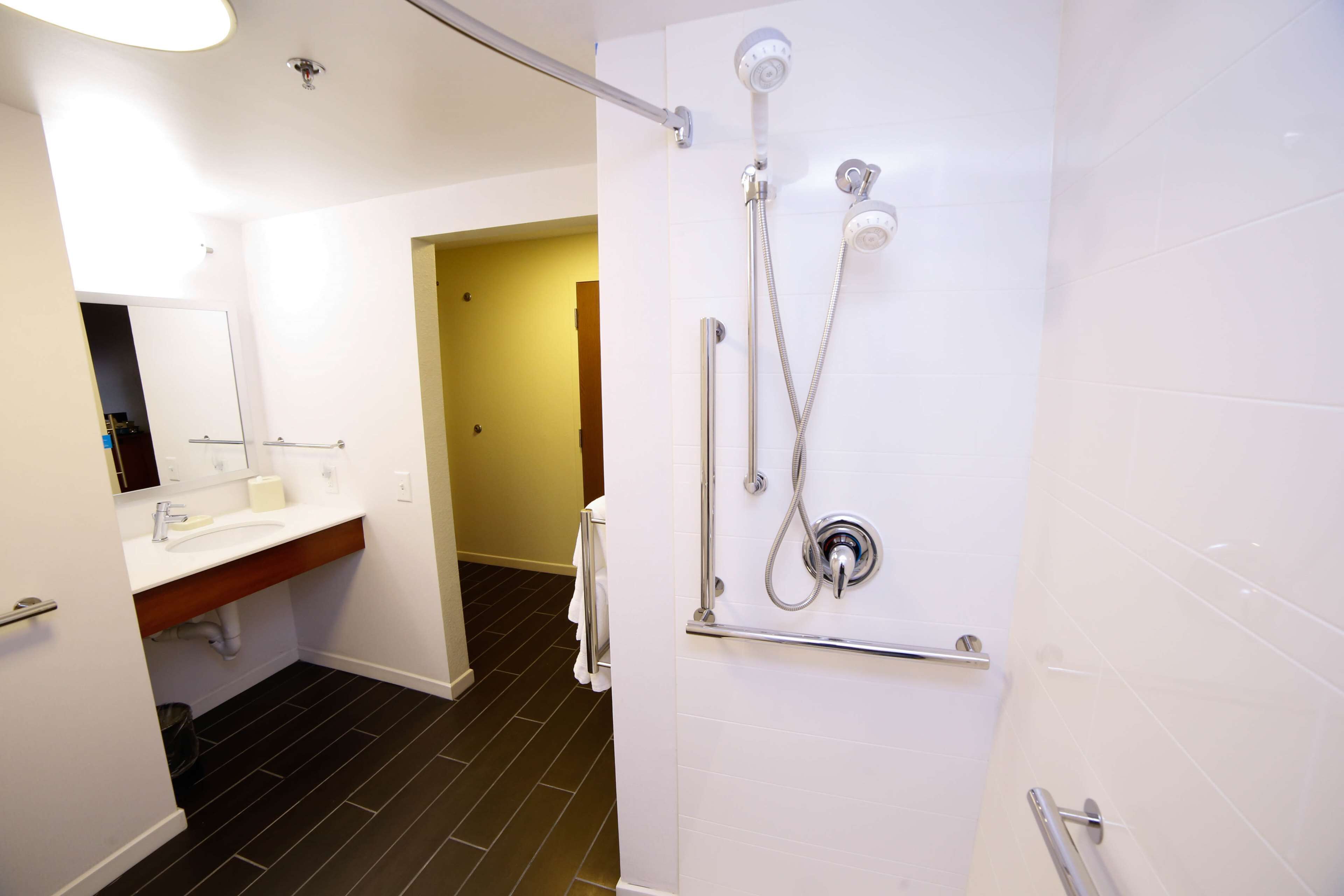 room, 1 queen bed, accessible (mobility & hearing, roll-in shower) | bathroom shower