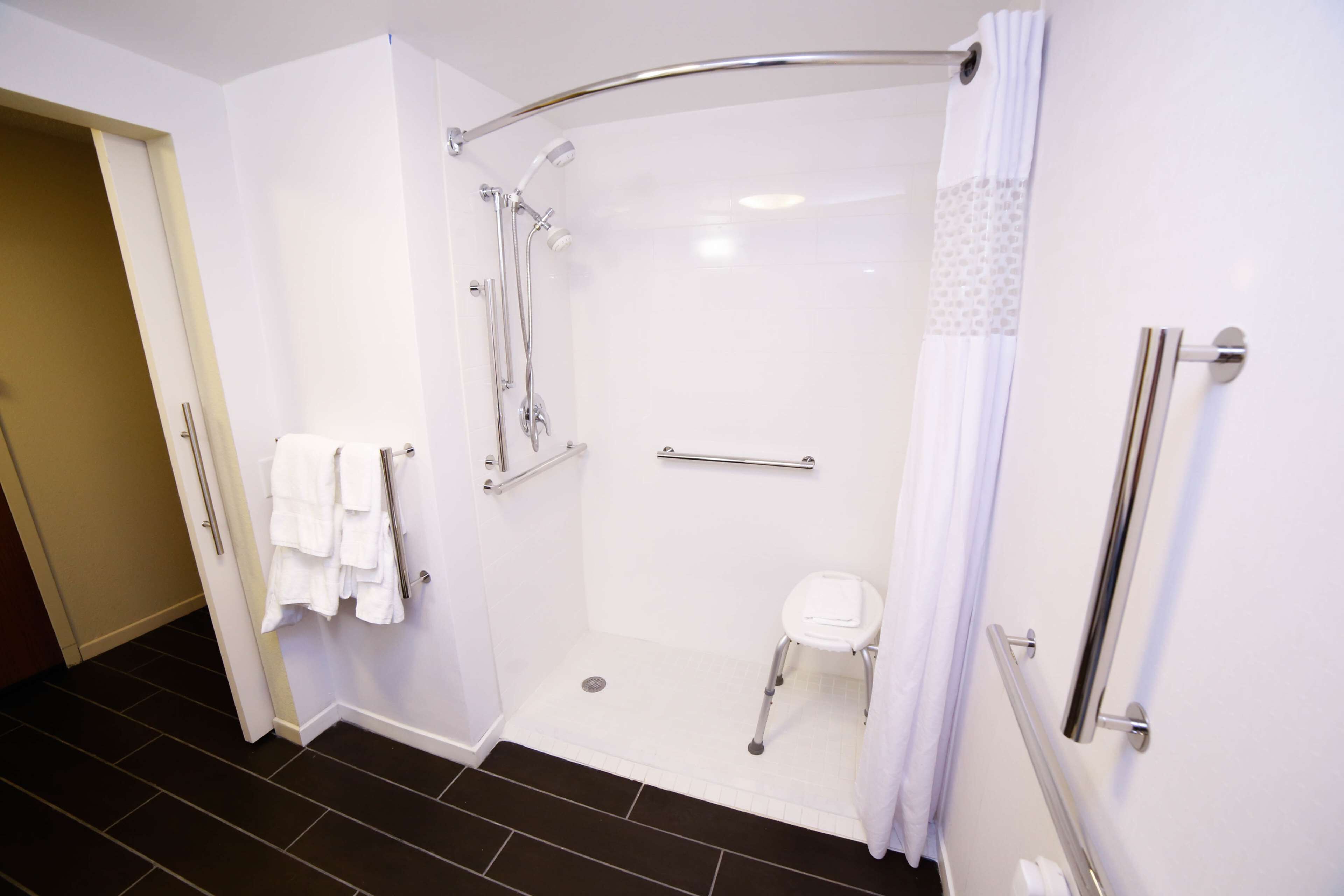 room, 1 queen bed, accessible (mobility & hearing, roll-in shower) | bathroom shower