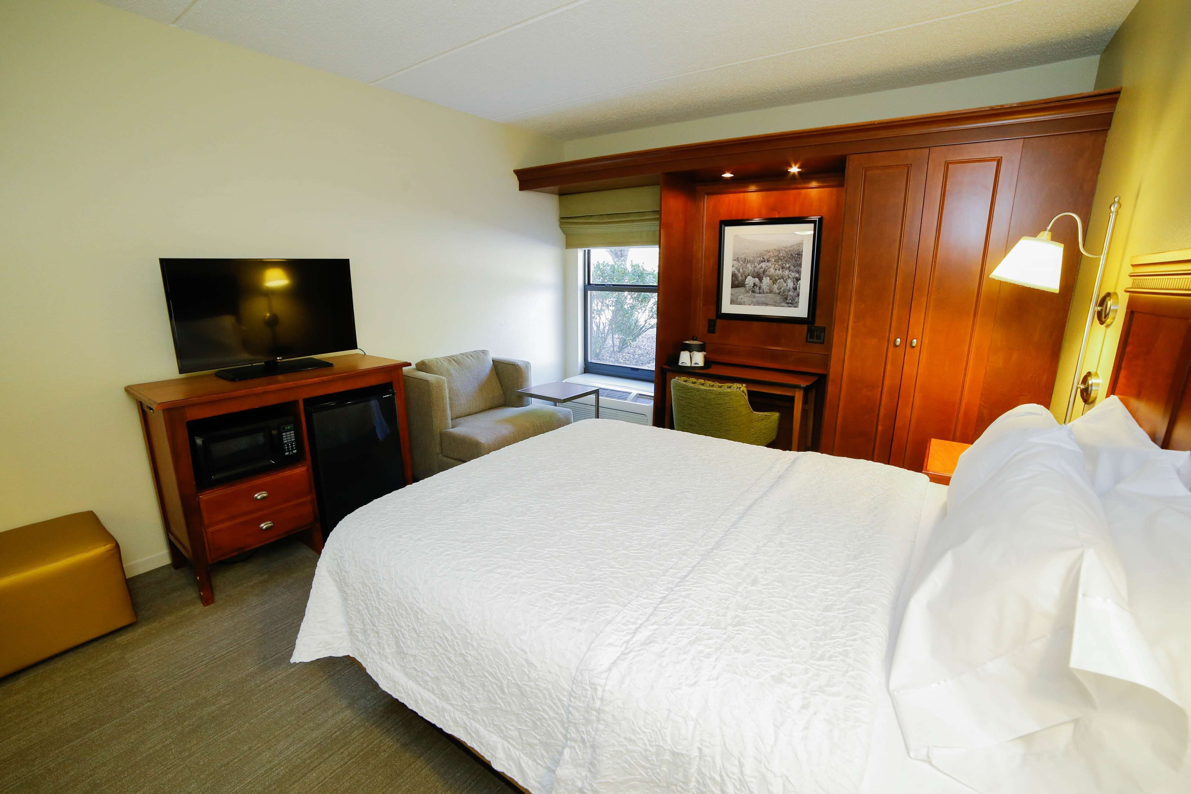 room, 1 queen bed, accessible (mobility & hearing, roll-in shower) | laptop workspace, blackout curtains, iron/ironing board, free wifi