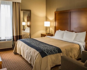 Blackout curtains, iron/ironing board, free cots/infant beds, free WiFi - Quality Inn Akron South (Akron)