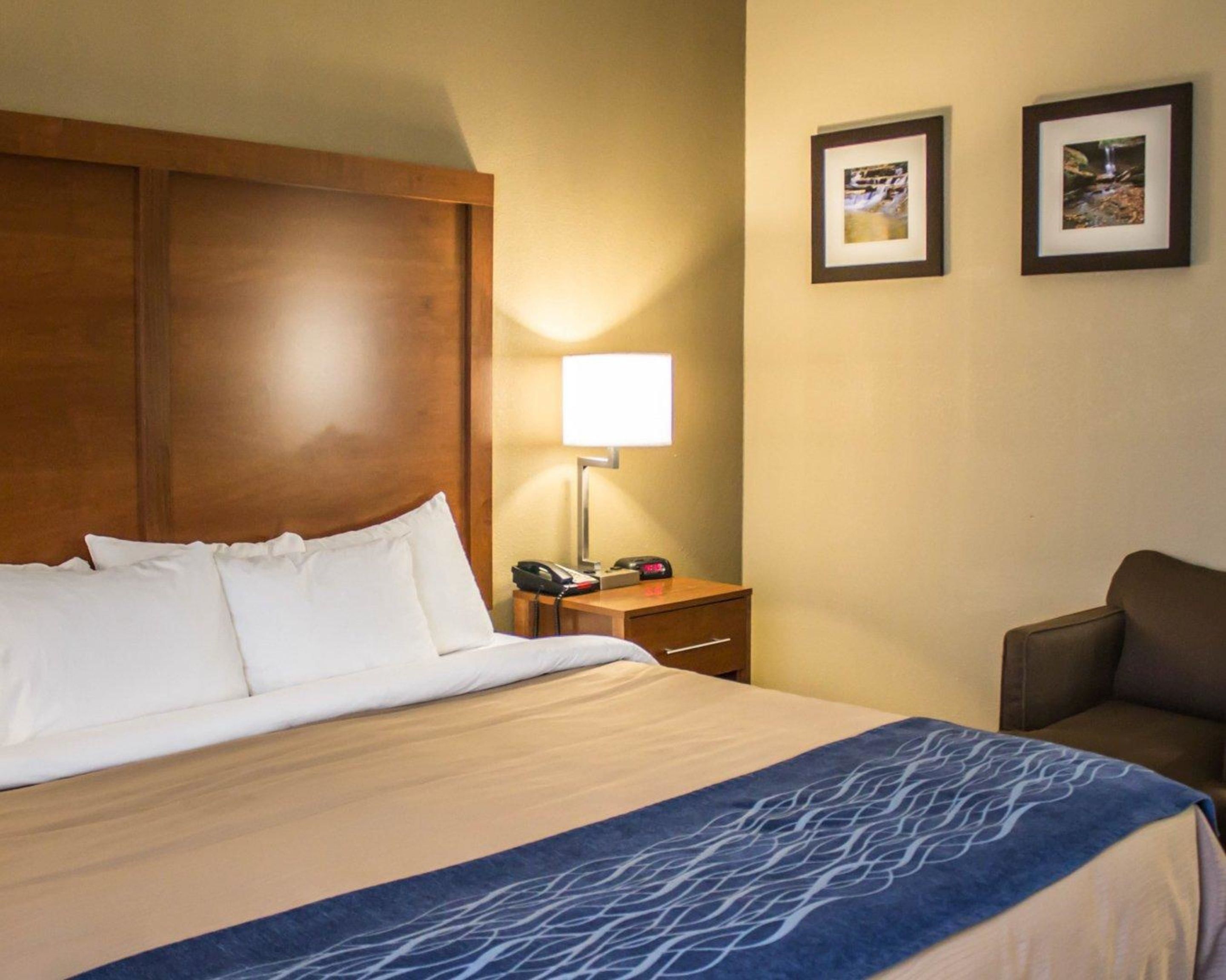 A hotel room with a large bed, a bedside lamp, a nightstand, and two framed pictures on the wall.