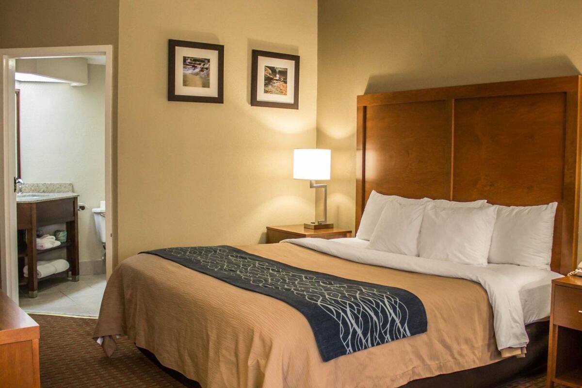 A hotel room with a bed, a nightstand, a lamp, and two framed pictures on the wall.