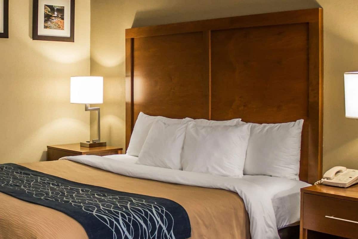 Blackout drapes, iron/ironing board, free cribs/infant beds, free WiFi