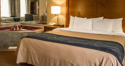 Quality Inn