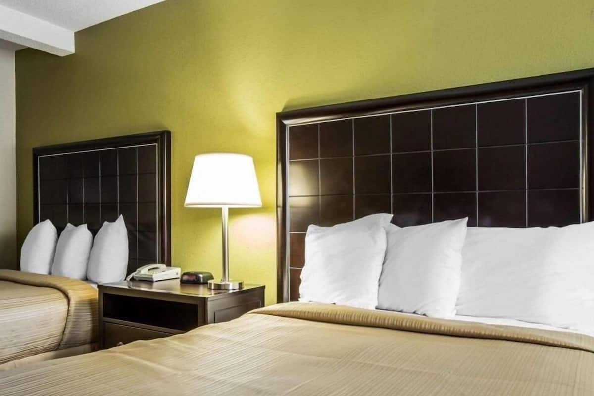 A hotel room with a large bed, a bedside table with a lamp, and a headboard.