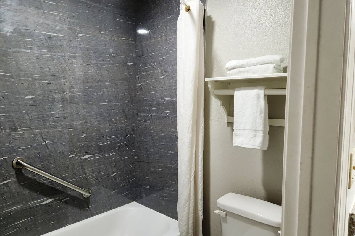 combined shower/bathtub, free toiletries, hair dryer, towels