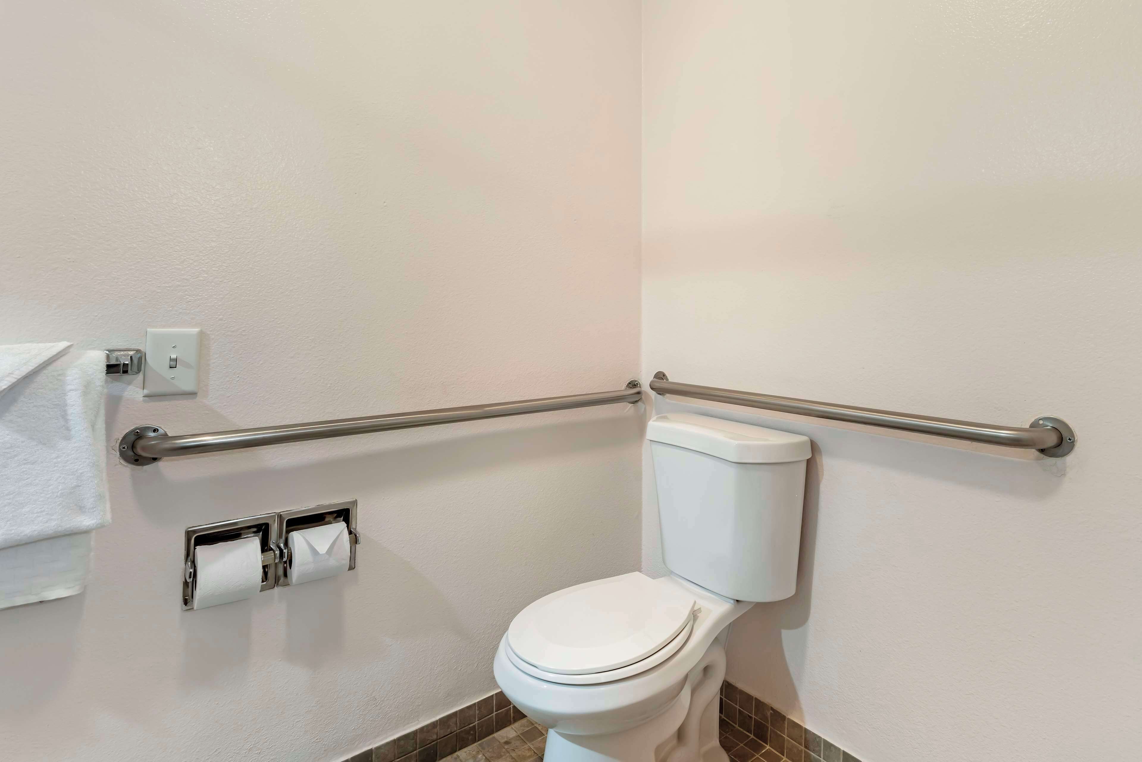 standard room, 1 king bed, accessible, bathtub | bathroom | combined shower/bathtub, free toiletries, hair dryer, towels