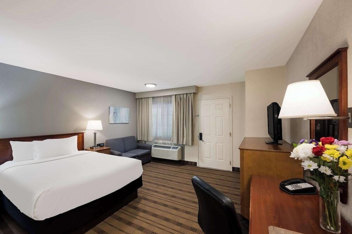 A hotel room with a bed, a desk, a chair, a television, and a desk lamp.