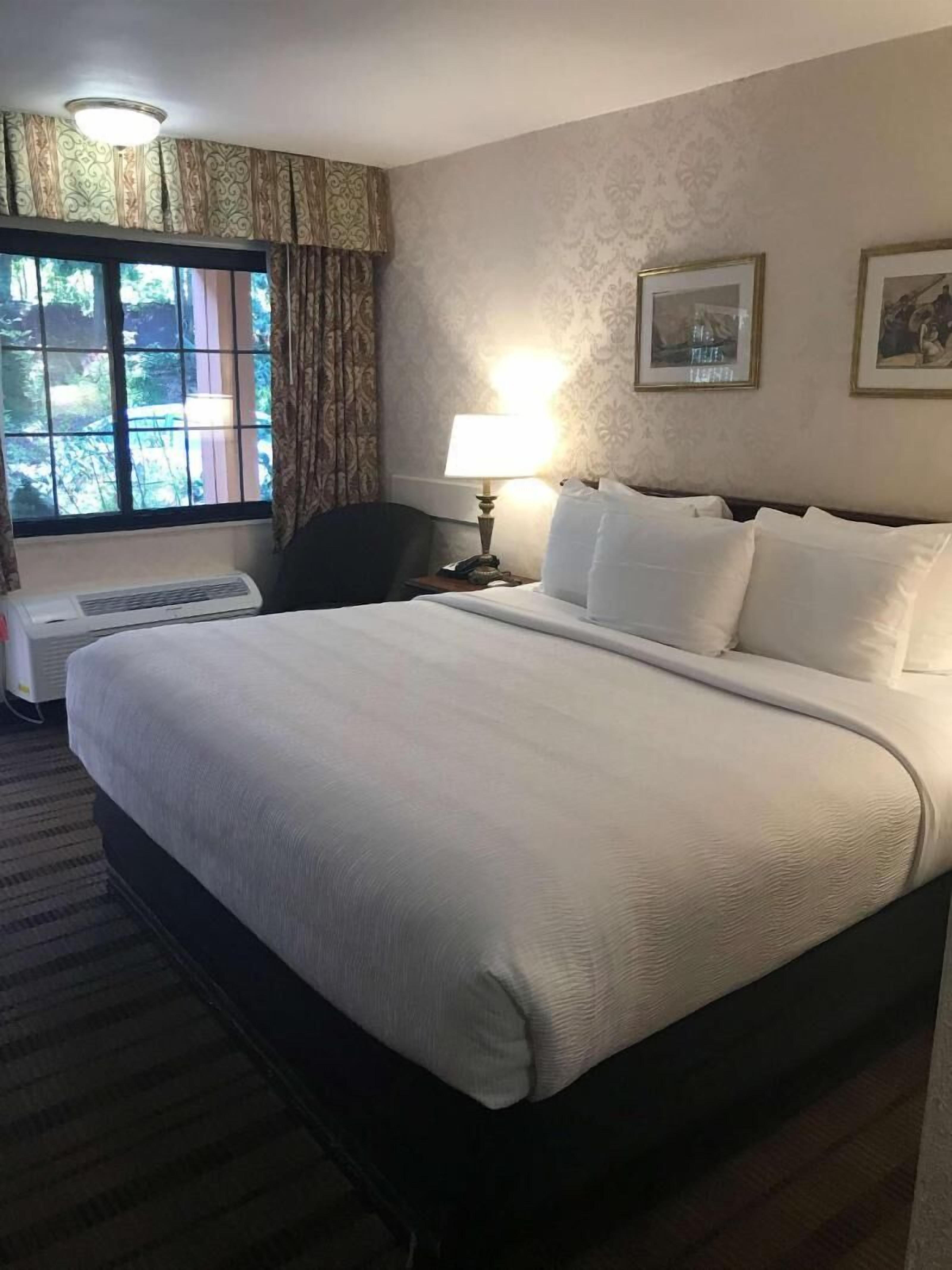 Egyptian cotton sheets, premium bedding, desk, laptop workspace