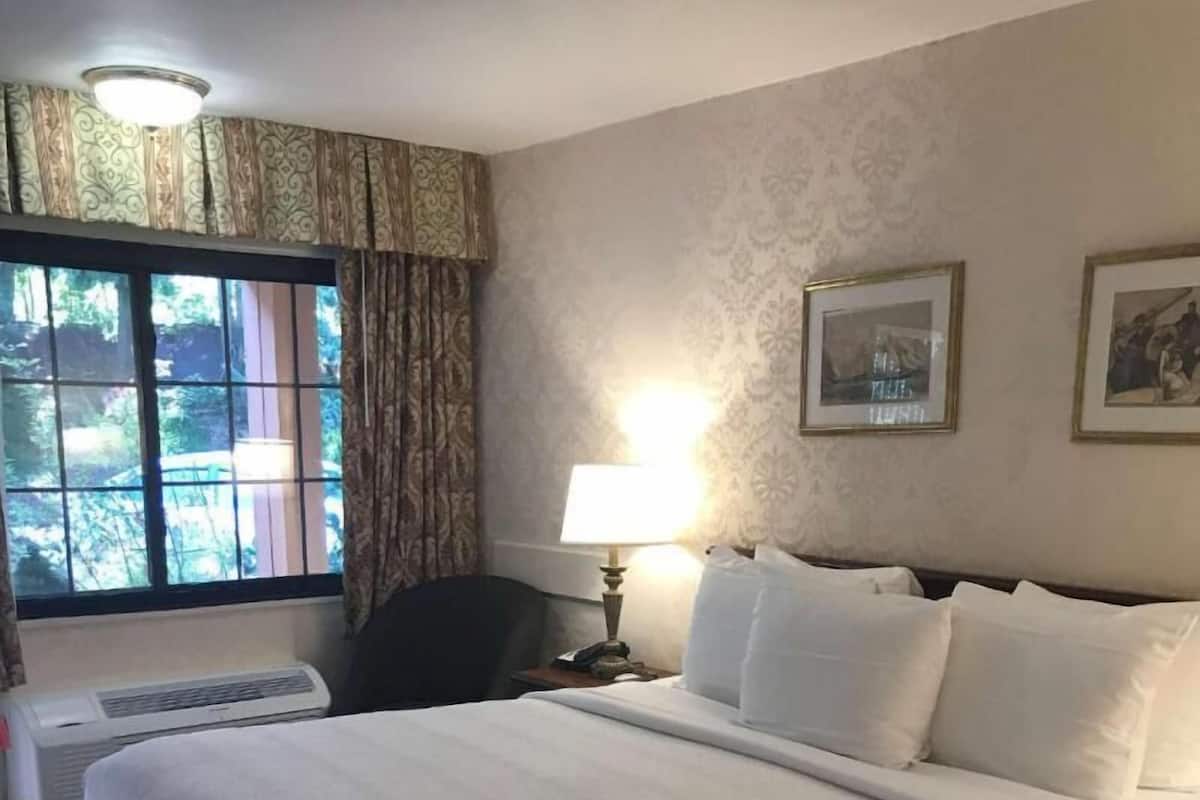 A hotel room with a large bed, a desk with a lamp, a chair, a window with curtains, and a wall with framed pictures.