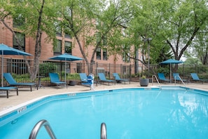 Seasonal outdoor pool, pool umbrellas, pool loungers