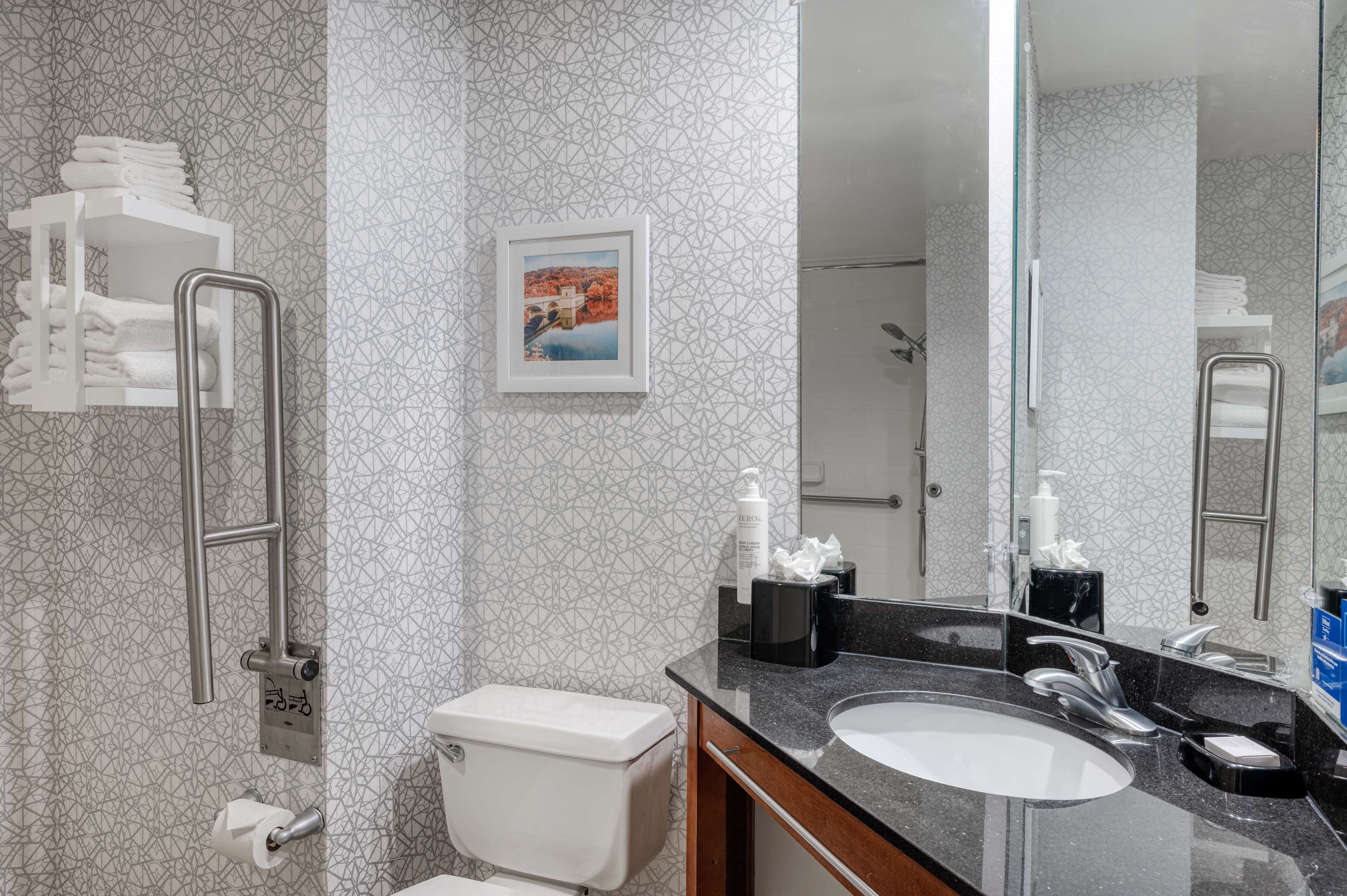 A modern bathroom with a toilet, sink, and handrails. There is a framed picture on the wall and a shower visible in the background.