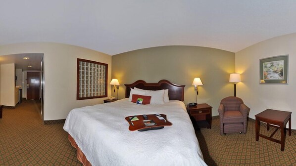 Iron/ironing board, free WiFi, bed sheets, alarm clocks - Hampton Inn South Hill (South Hill)