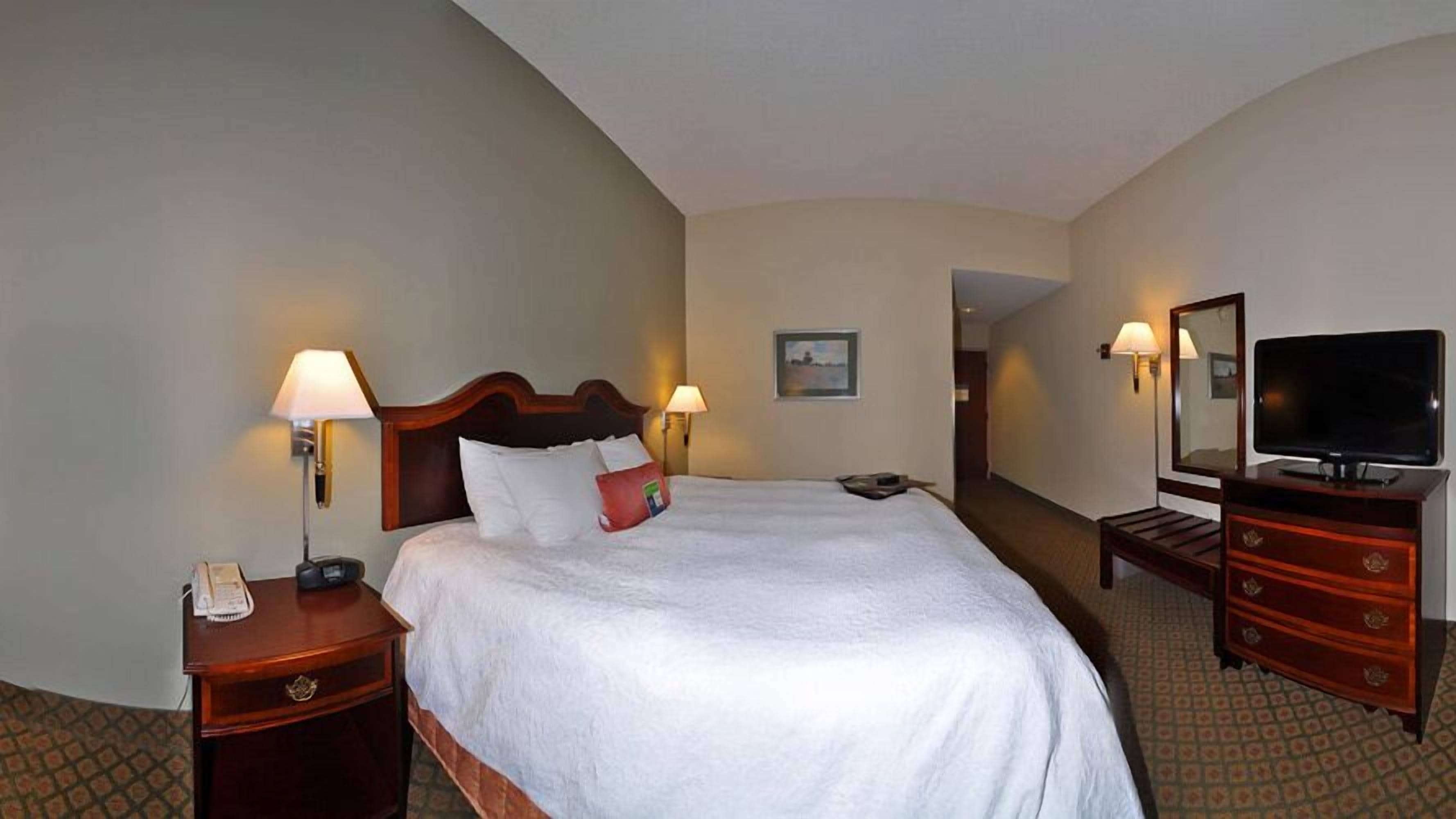 Habitación de hotel con una cama grande, dos lámparas de noche, un televisor, un aparador y un cuadro en la pared.