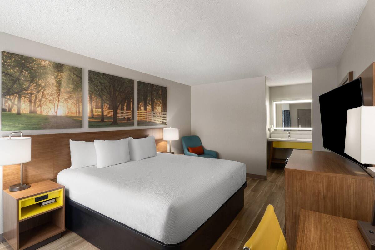 A hotel room with a large bed, a desk, a chair, a TV, and artwork on the wall.
