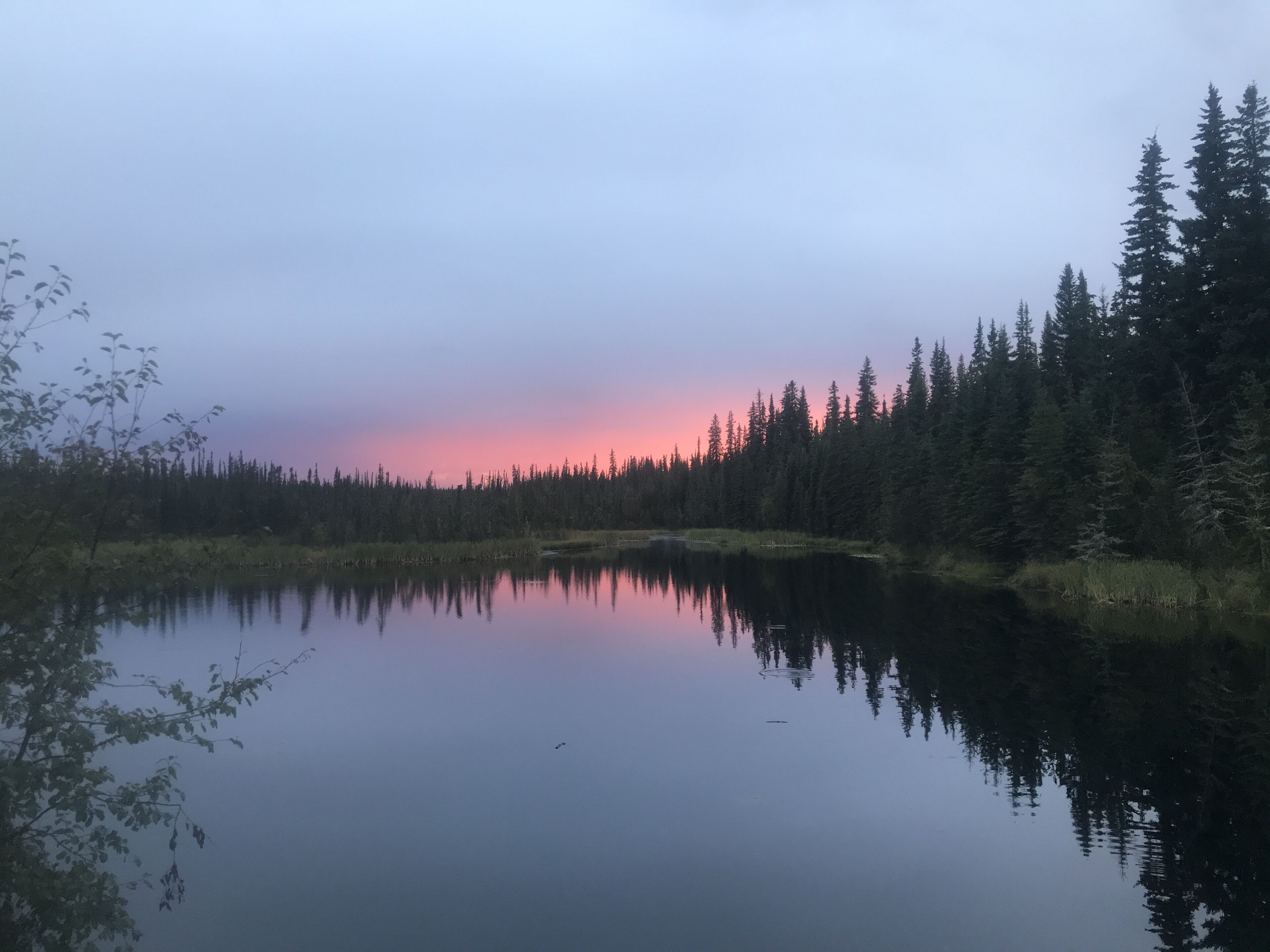 A calm lake reflecting trees and a forested area.