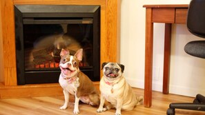 Pet-friendly