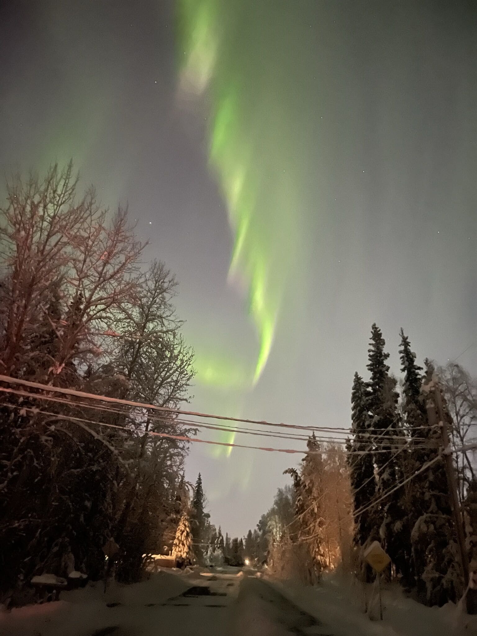 En snøvej kantet af træer og elledninger under en nattehimmel med nordlys.
